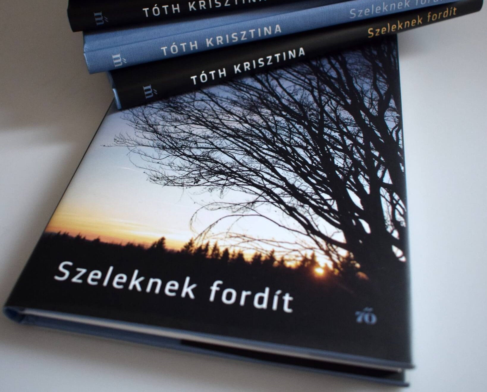 Halmai Tamás jegyzete a Szeleknek fordít című új kötet címadó verséről