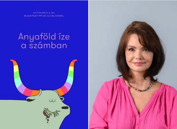 Csehy Zoltán kritikája Tóth Krisztina Hazudol című írásáról