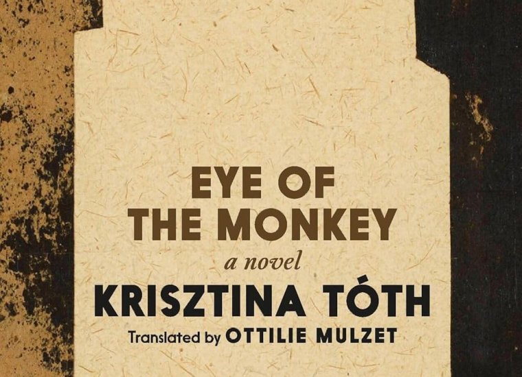 EYE OF THE MONKEY