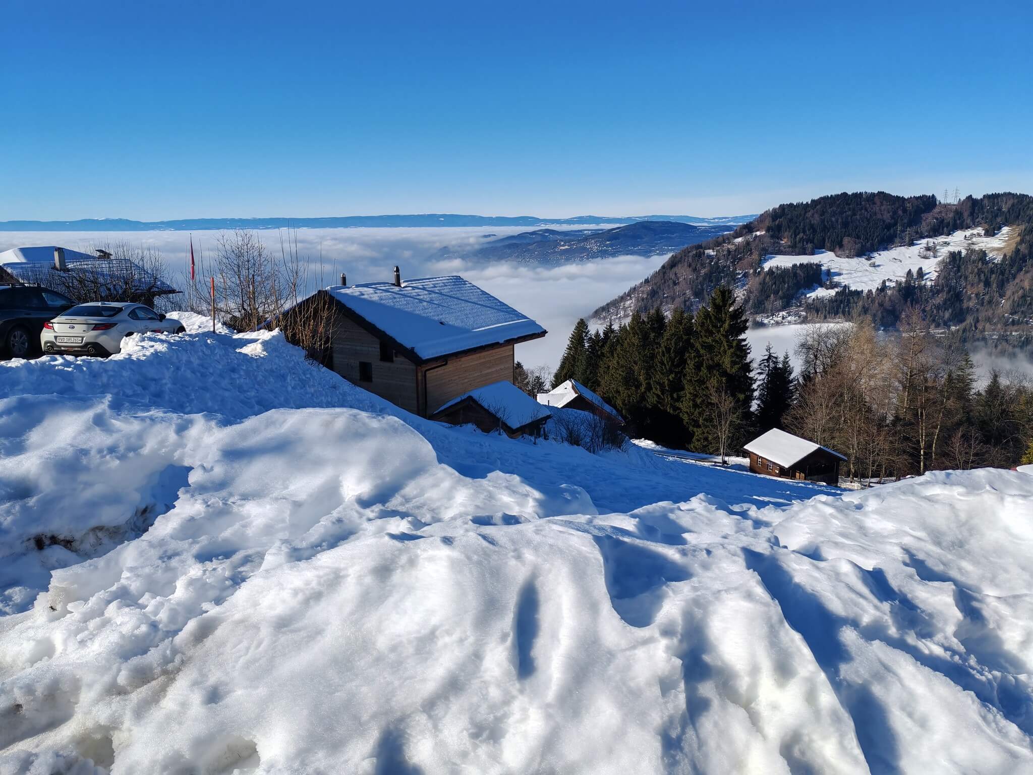 Tóth Krisztina: ÉGŐSOR