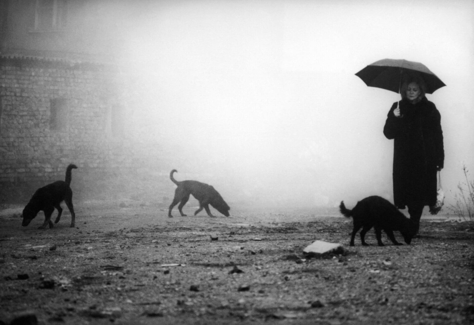 Tóth Krisztina: Főcímdal, VÉGE