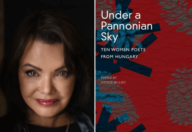 Under a Pannonian Sky – Tóth Krisztina műveivel